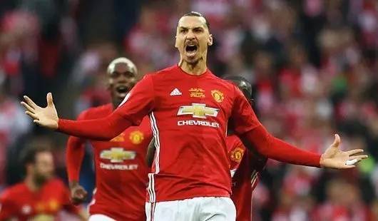 了他们团队 了他们团队